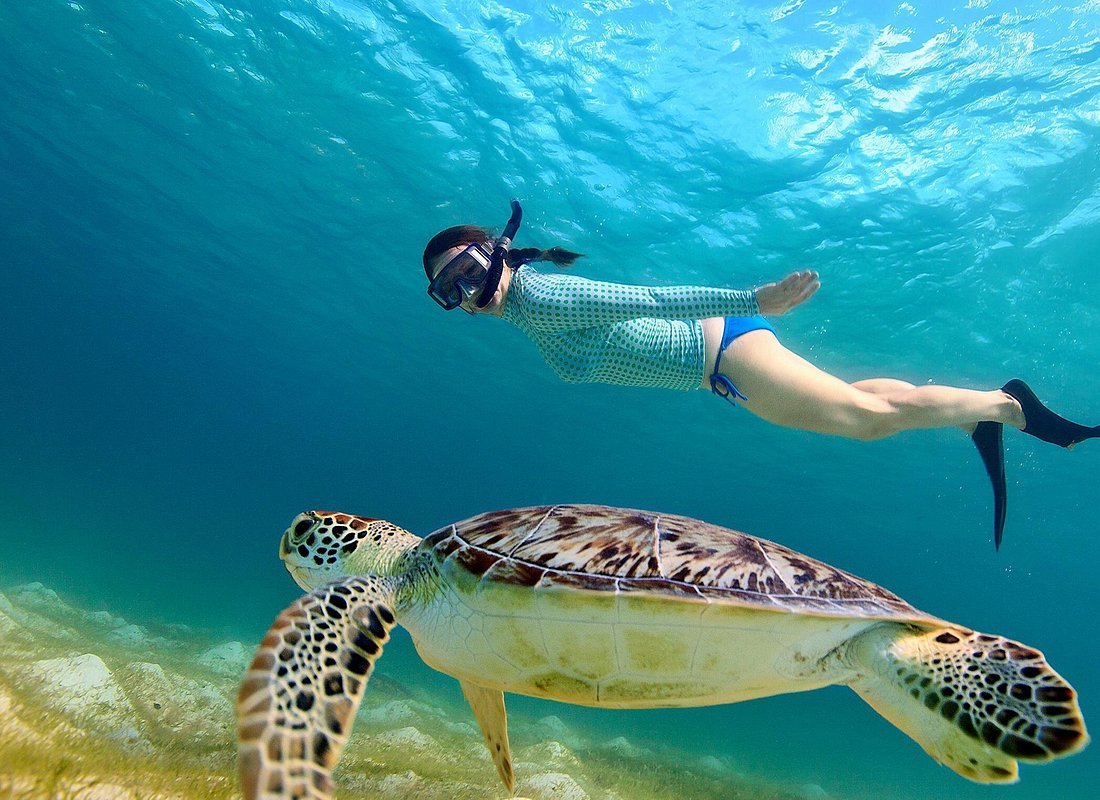 snorkeling hikkaduwa